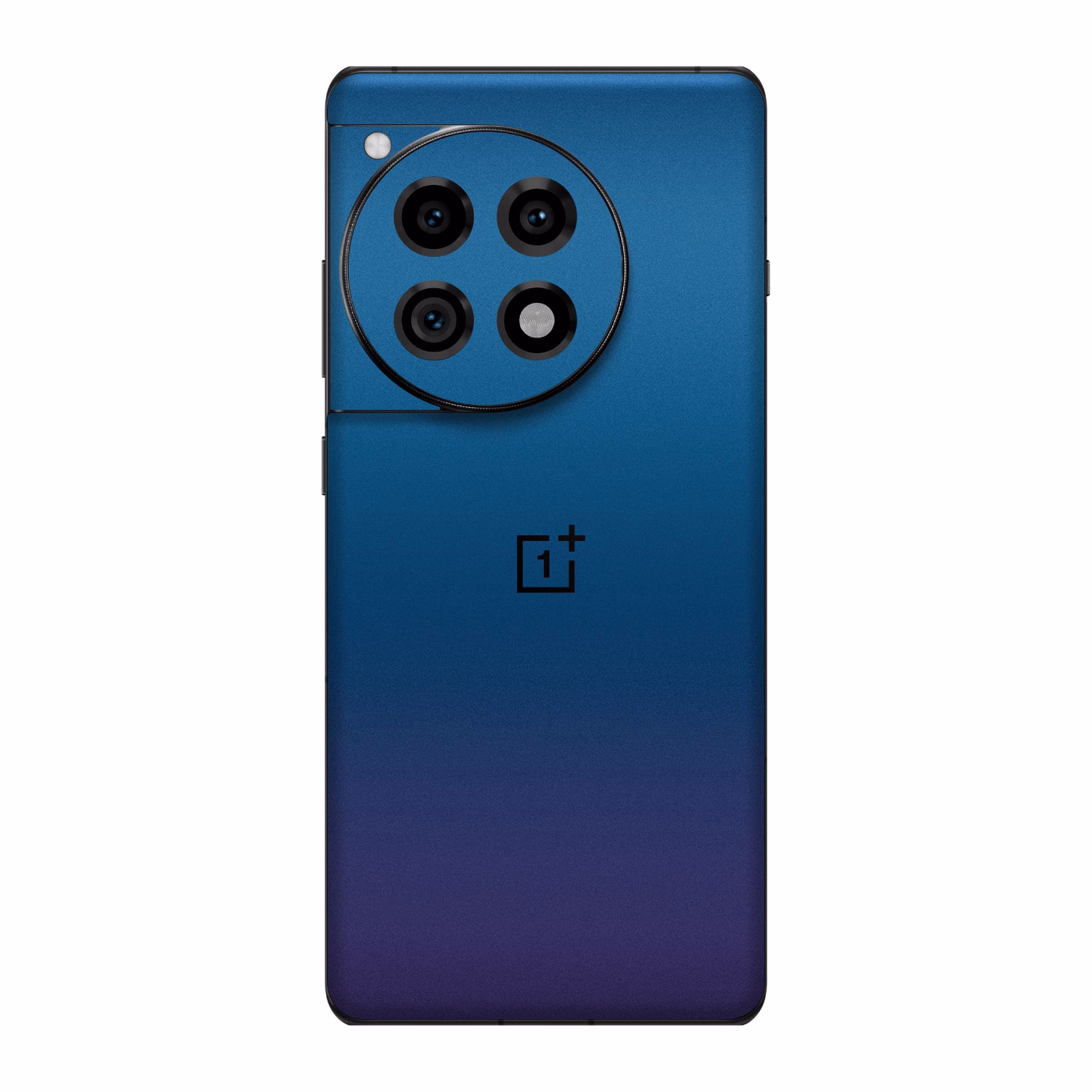 blue-purple-flip