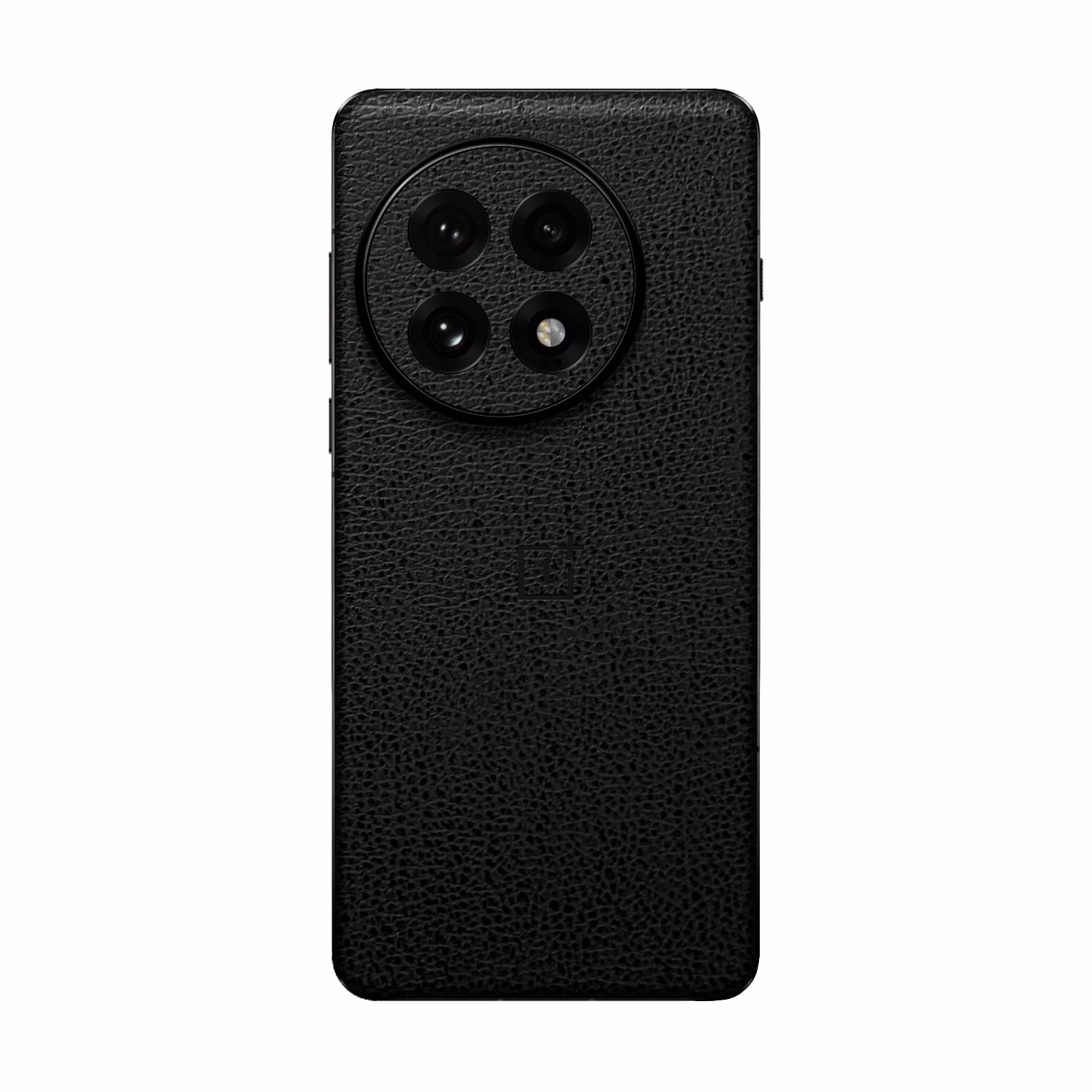 OnePlus 13 Skins, Wraps and Screen Protectorsv