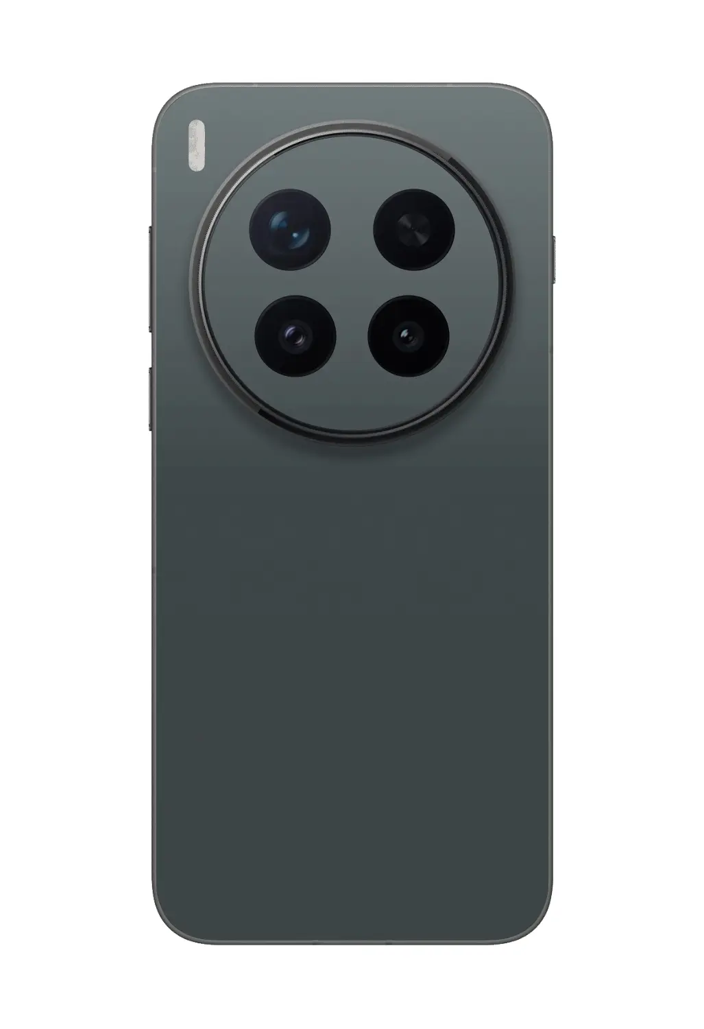 nardo-grey