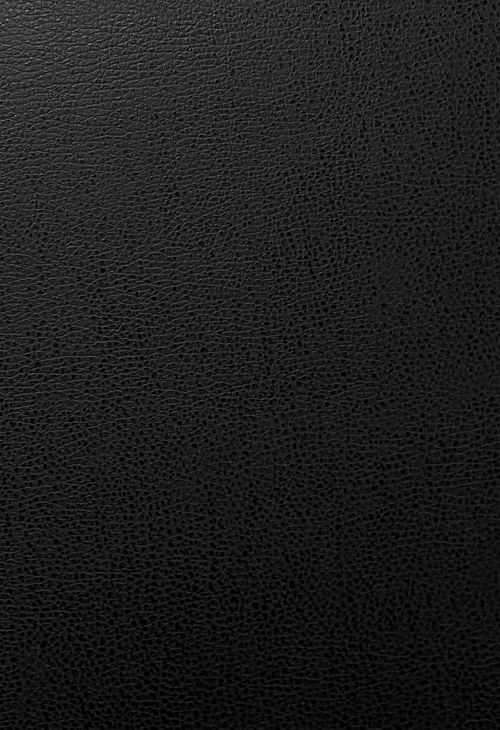 black-leather