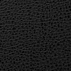 black-leather