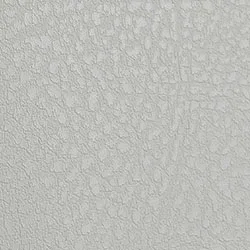 white-leather